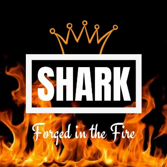 Forged in the Fire by Shark the SOB