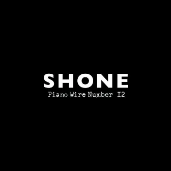 Piano Wire Number 12 by SHONE