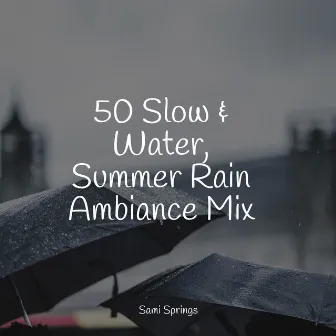 50 Slow & Water, Summer Rain Ambiance Mix by Rain Shower Spa