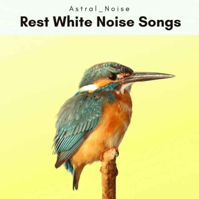 A Rest White Noise Songs