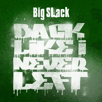 The Back Like I Never Left Project by Big Slack