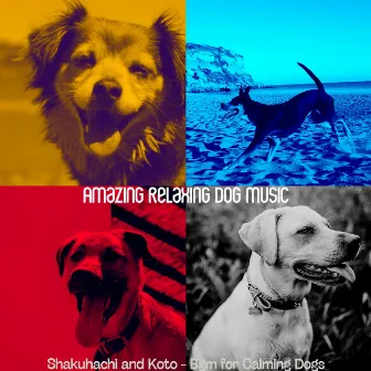 Shakuhachi and Koto - Bgm for Calming Dogs by 