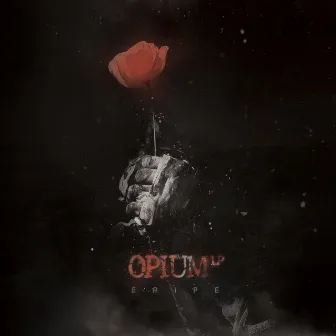 Opium by Eripe