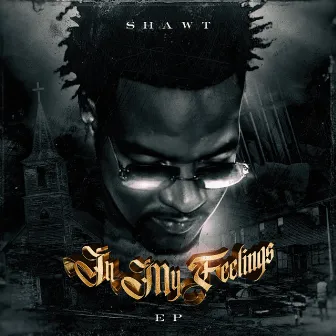 In My Feelings by Shawt