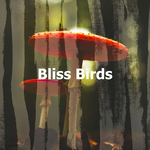 Bliss Birds