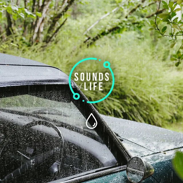 Rain Hitting Car Roof