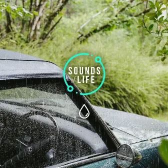 Rain Hitting Car Roof by Sounds of Life