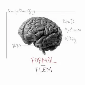 Formol by Flem