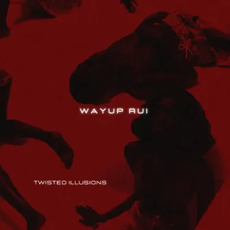 Twisted Illusions by Wayup Rui