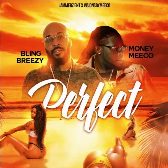 PERFECT by Bling Breezy