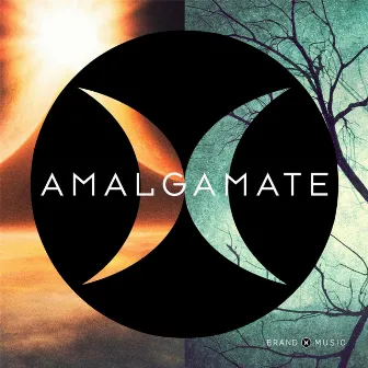 Amalgamate by Brand X Music