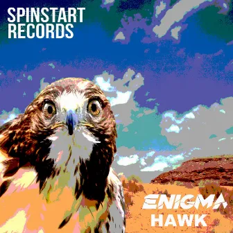 Hawk by Enigma