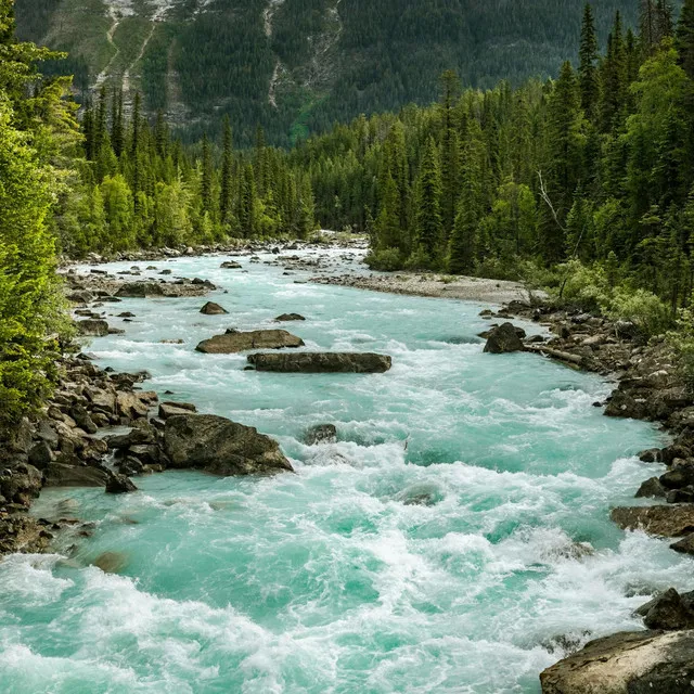 Walk by The Stream