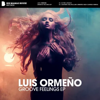 Groove Feelings EP by Luis Ormeño