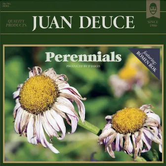 Perennials by Juan Deuce