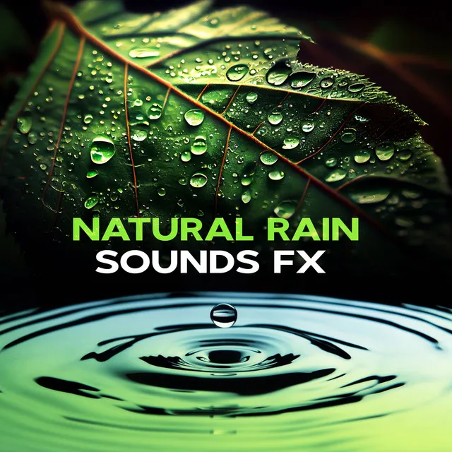 Natural Rain Sounds FX