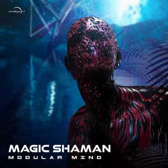 Modular Mind by Magic Shaman