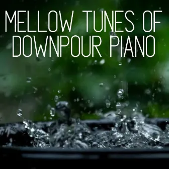 Mellow Tunes of Downpour Piano by Relaxing Sleep Meditation