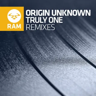 Truly One (Remixes) by Origin Unknown