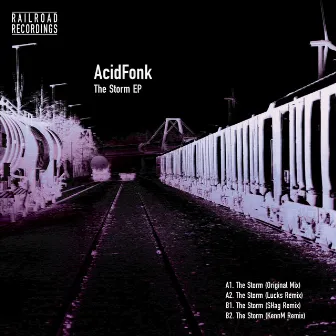 The Storm EP by Acidfonk