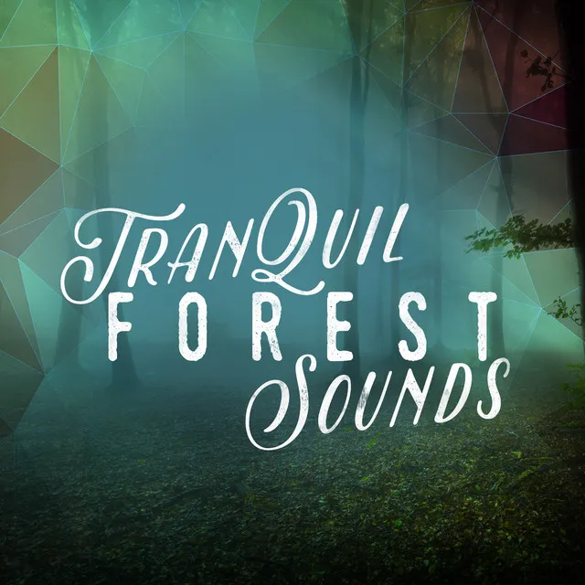 Natural Forest Sounds