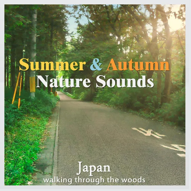 Summer & Autumn Nature Sounds: Japan - Walking Through the Woods