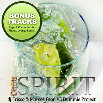 Spirit (Bonus Tracks) by Dummie Project