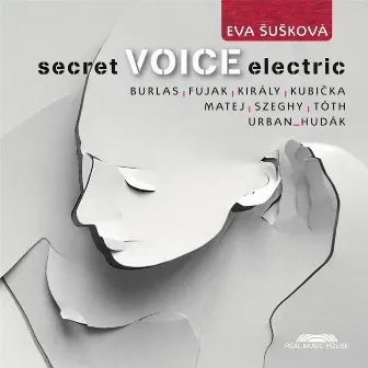 Secret Voice Electric by Eva Susková