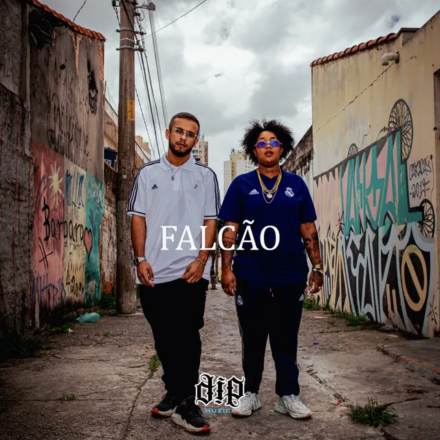 Falcão