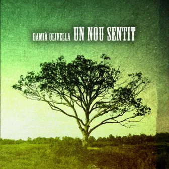 Un Nou Sentit by Damià Olivella