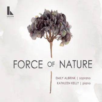 Force of Nature: Now I See You by Emily Albrink