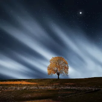 Compilación Completa Para Aliviar El Estrés: 30 Hermosas Melodías Relajantes Para El Alma by Maestros de música de la meditación