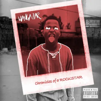 Chronicles of a Rockstar by Wanga_Zar