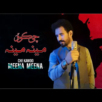 Che Kawoo Meena Meena by Akbar Ali Khan