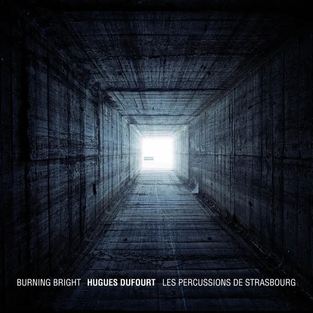 Burning Bright: I. Vertical 1