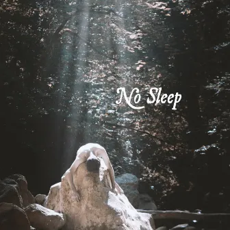 No Sleep by Swami Netero