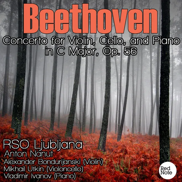 Concerto for Violin, Cello, and Piano in C Major, Op. 56: II. Largo (attacca)