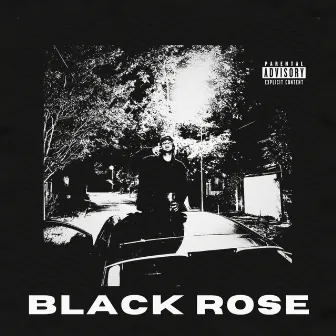 Black Rose by Shagger