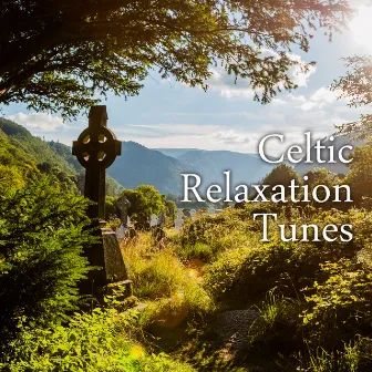 Celtic Relaxation Tunes - Beautiful Ambient Music for the Spa, Sauna, Massage, Hot Baths, Rest and Relaxation, as well as for Yoga and Meditation by Healing Meditation Zone & Pure Spa Massage Music & Serenity Music Relaxation