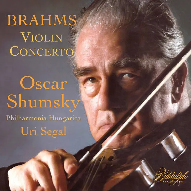 Violin Concerto in D Major, Op. 77: I. Allegro non troppo