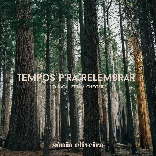 Tempos P'ra Relembrar (O Natal Está a Chegar)