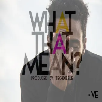 What That Mean? by Ve