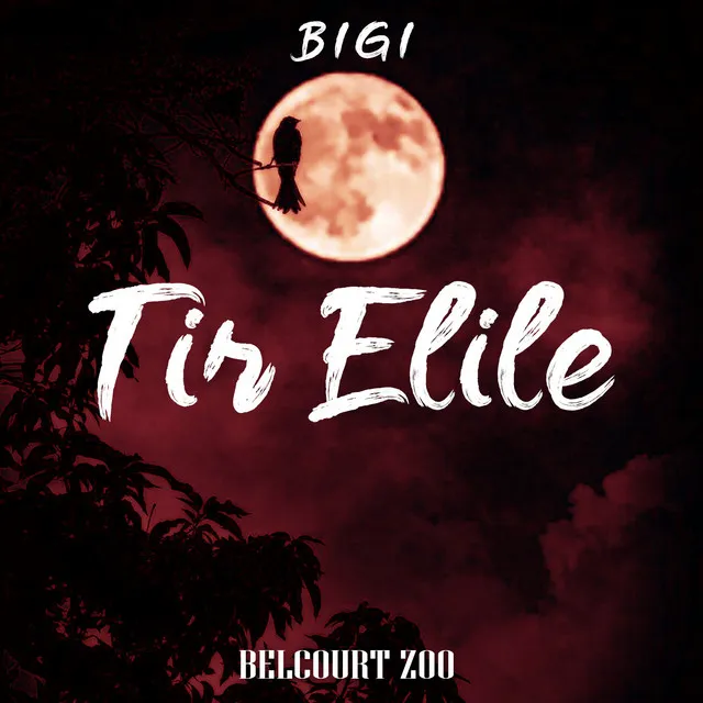 Tir Elile