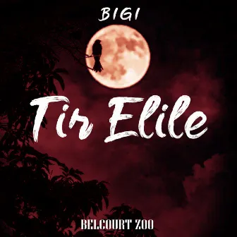 Tir Elile by Belcourt Zoo