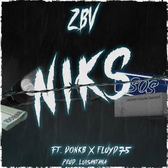 Niks by ZBV