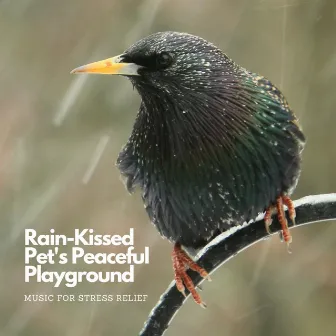 Rain-Kissed Pet's Peaceful Playground: Music For Stress Relief by Lights of Kharma