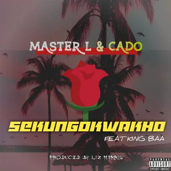 Sekungokwakho by King Baa