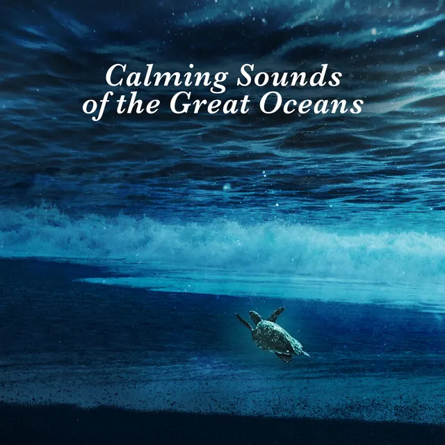 Calming Sounds of the Great Oceans