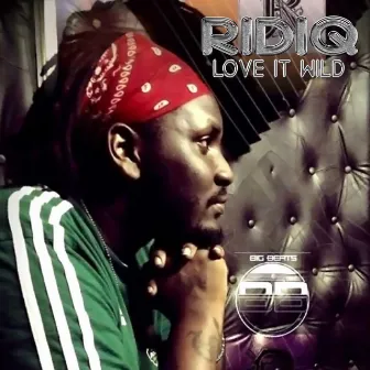 Love It Wild by Ridiq