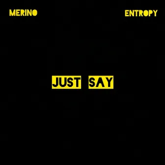 Just Say by Entropy